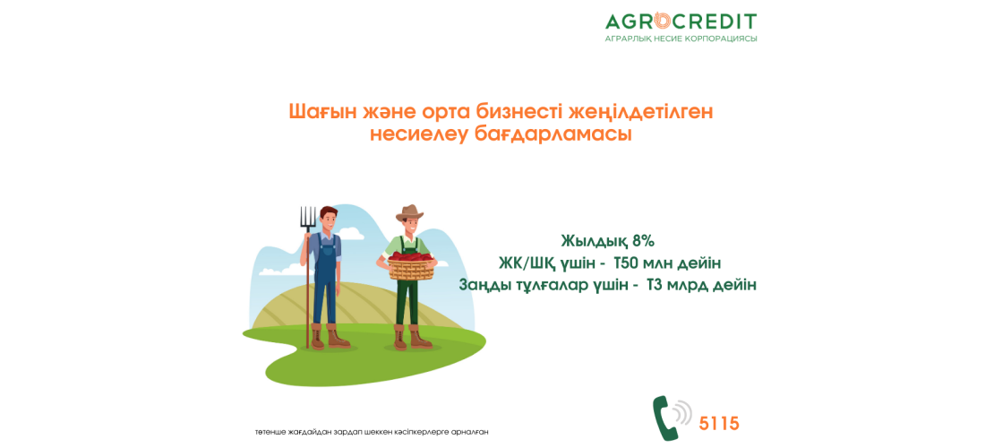 Төтенше жағдайдан зардап шеккен кәсіпкерлер жеңілдетілген несие ала алады