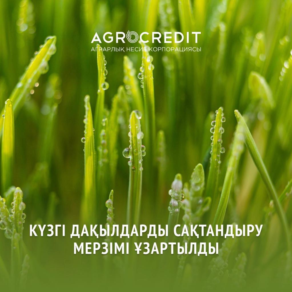 2023-2024 жылдарға арналған күздік дақылдарды сақтандыру басталады