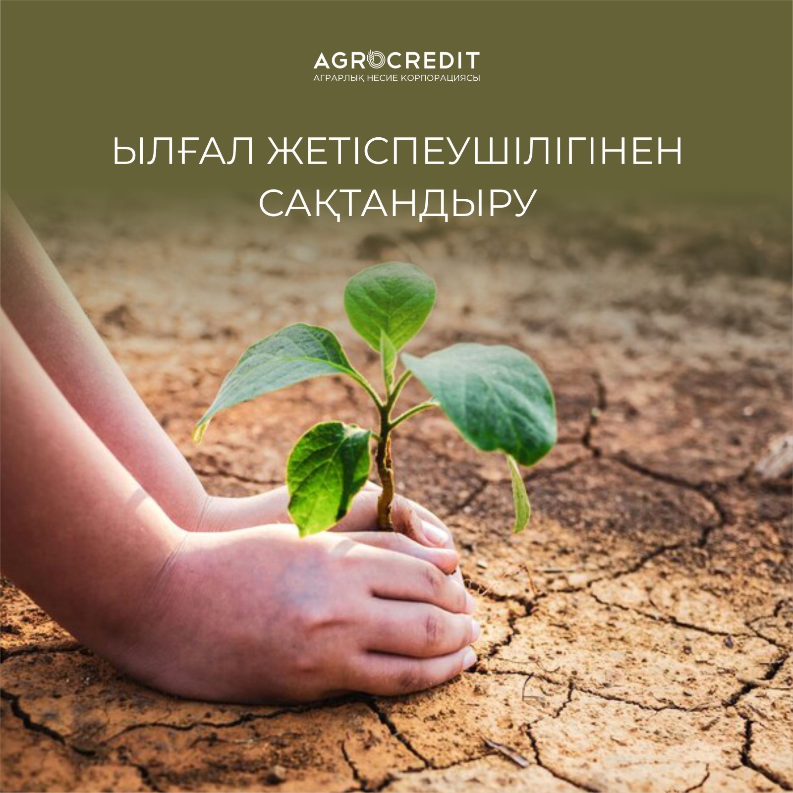 Ылғал жетіспеушілігінен сақтандыру
