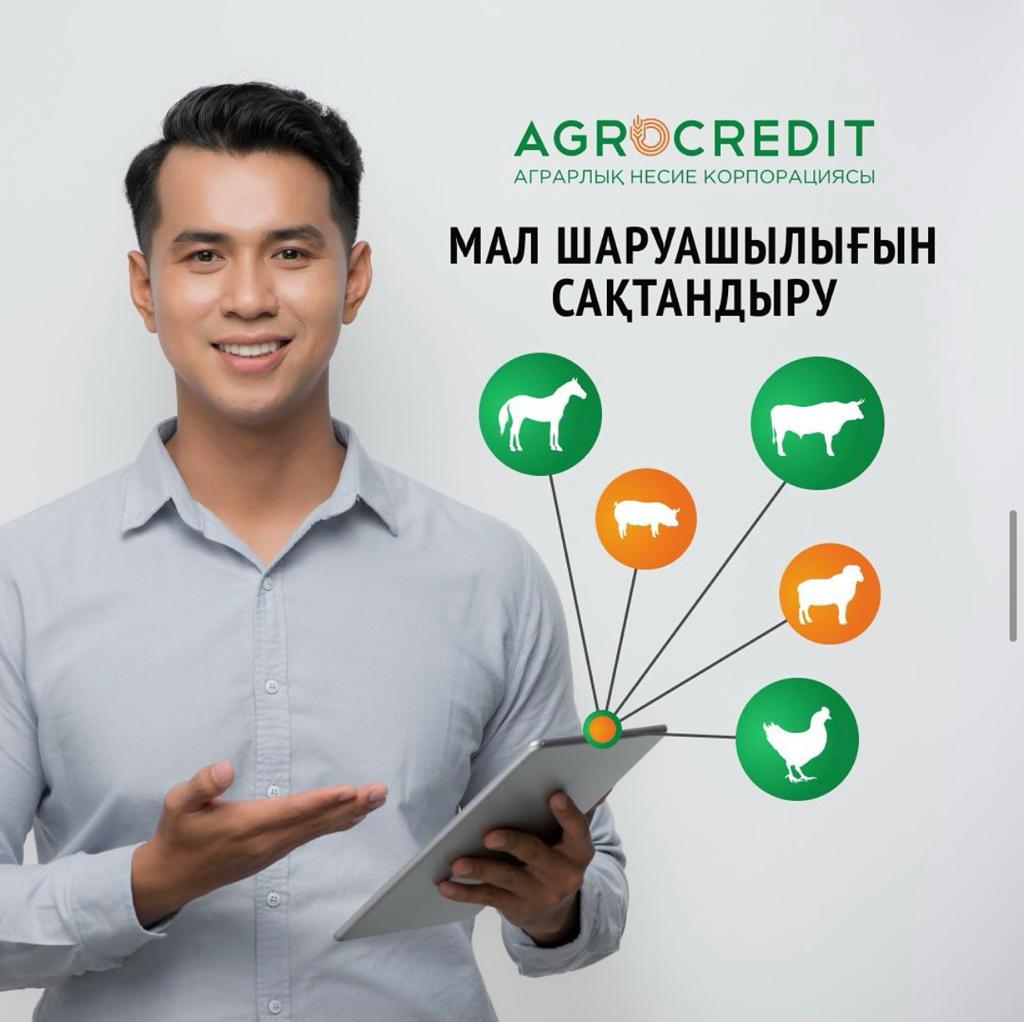 Сақтандыру қазақстандық фермерлердің тәуекелдерін азайтуға көмектеседі