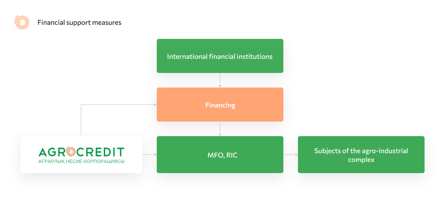 finance schema