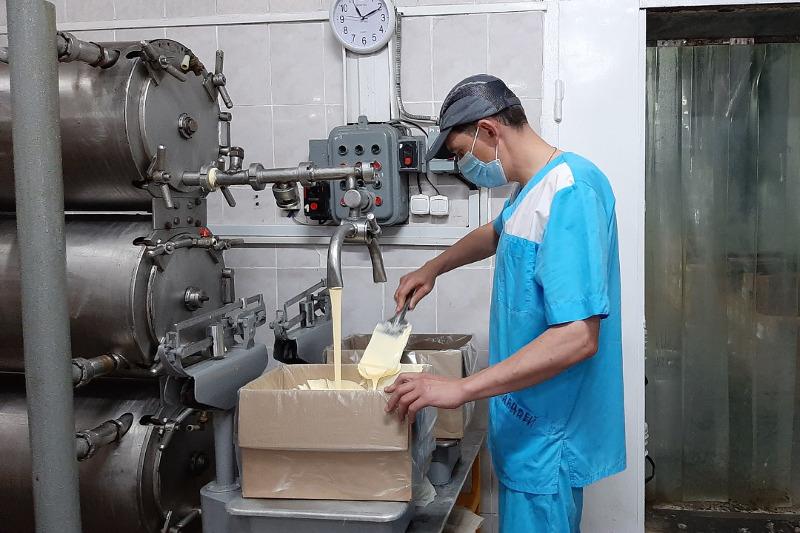 От 35 тонн молочной продукции ежедневно изготавливает предприятие из СКО