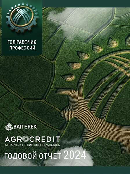 Интерактивный годовой отчет 2024