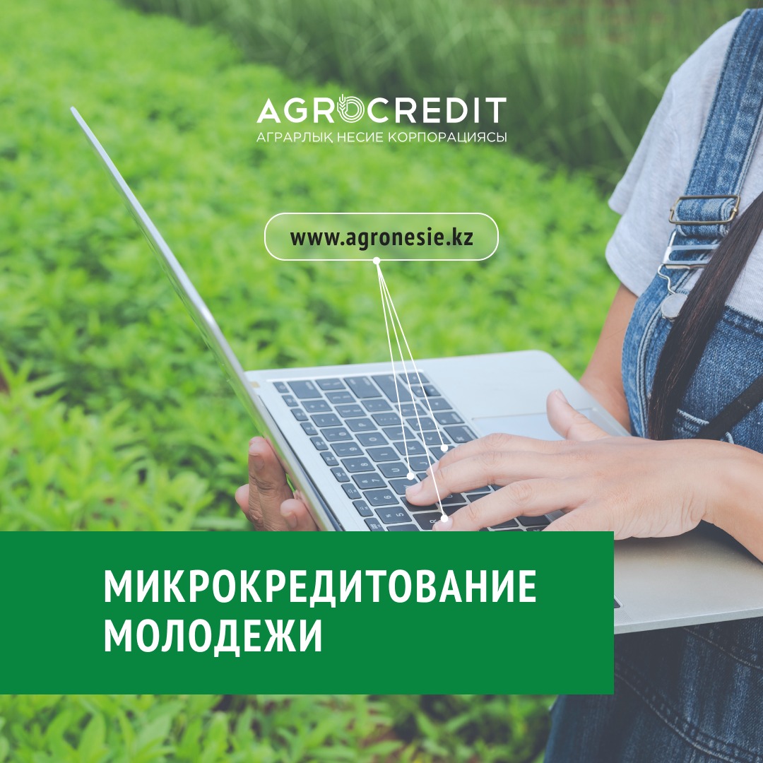 Микрокредитование молодежи: продолжается прием онлайн-заявок