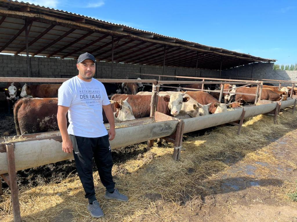 Kazygur entrepreneur supplies about 20 tons of meat per year to the market