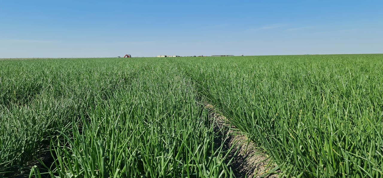 Fields inherited from father