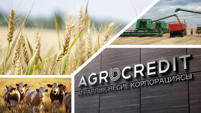 Қазақстандық шаруалар көктемгі егіс жұмыстарына несие алу үшін өтінім беруде белсенді    