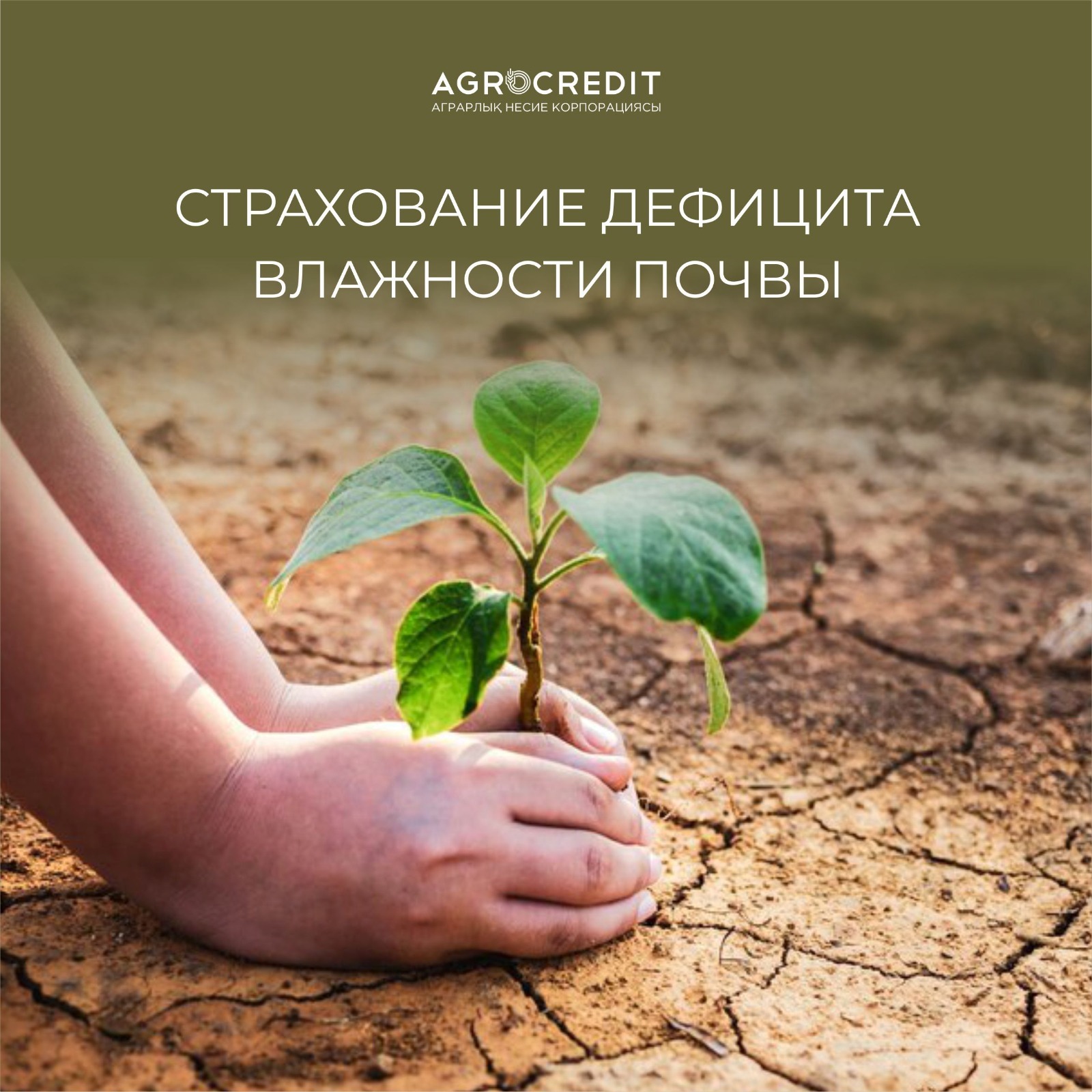 Страхование индекса  дефицита влажности почвы