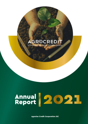 Annual Report for 2021