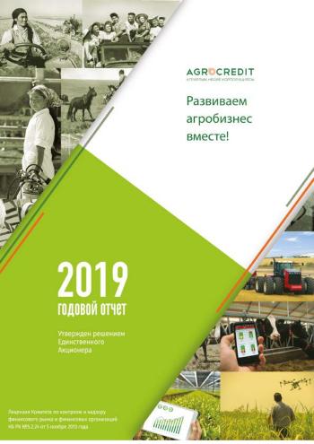 Годовой отчёт за 2019 год